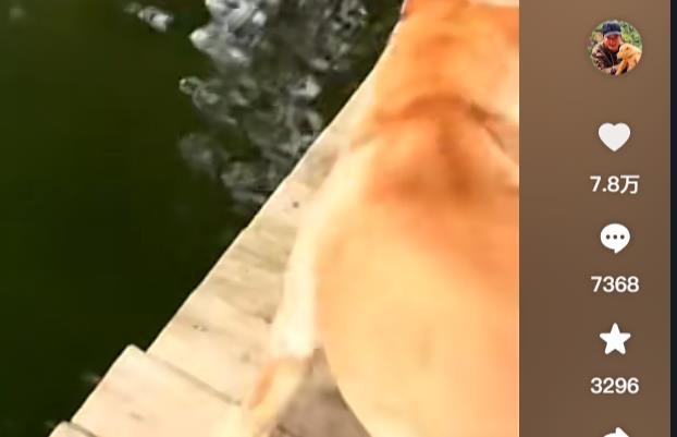 如何增加小红书的数据-涨粉点赞小眼睛全面提升