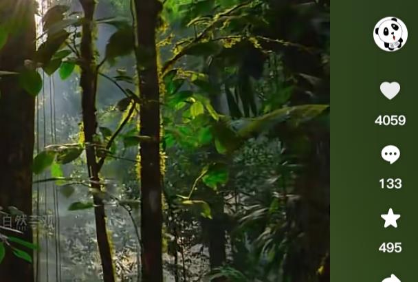 B站刷粉丝涨流量如何避坑-哔哩1元1000粉0.01元10000播放