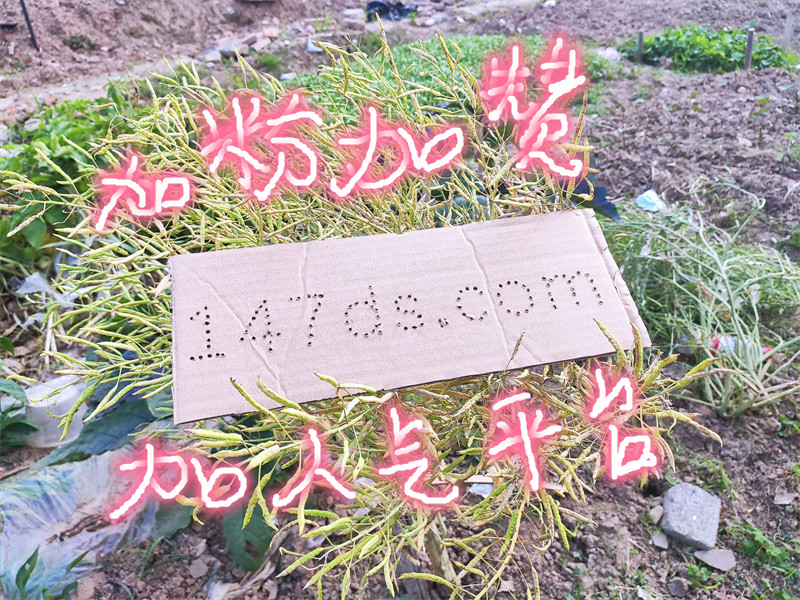 快手粉丝自助下单平台,抖音流量服务官网,24小时快速响应自助下单