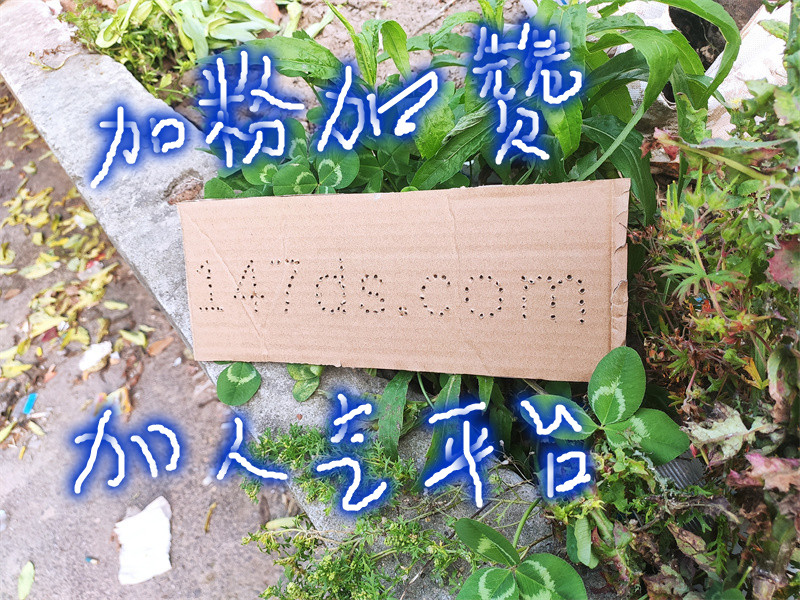 快手粉丝自助推广服务 - 低价秒速点赞平台,专业增流平台资讯分享