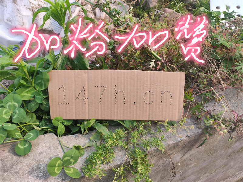 快手粉丝下单平台dy赞,24小时优惠刷粉服务,助力流量增长