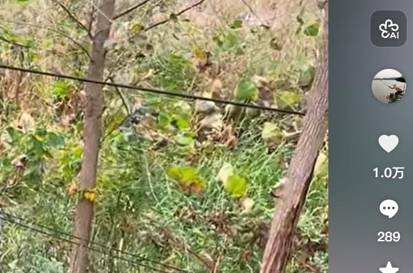 抓住用户注意力：解锁高效抖音获客引流技巧！_自助下单平台