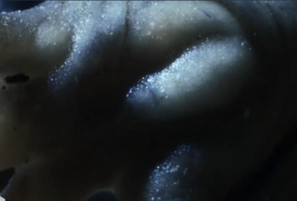 抓住用户注意力:解锁高效抖音获客引流技巧!_自助下单平台