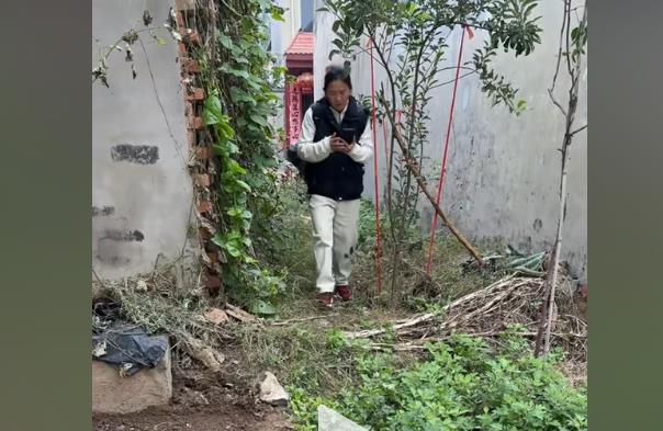 抖音刷粉_自助下单平台