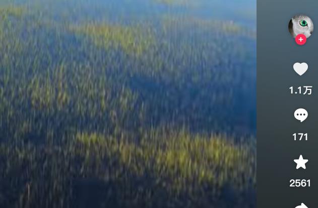 抖音快速增粉_一键自助下单服务平台