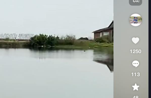 揭秘抖音自助下单平台:一键实现视频海量增粉、点赞、播放、评论、直播人气飙升!