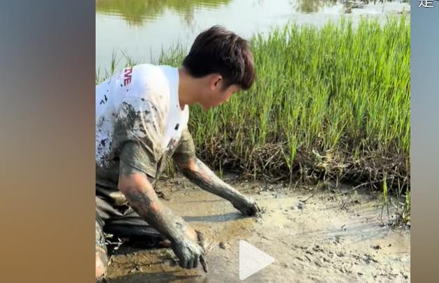 两个内容相同的网站,一个使用香港服务器,一个使用国内服务器,哪一个更容易被浏览器搜索引擎搜到?