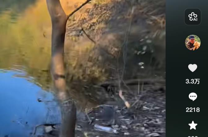 分析搬砖项目可行性-赚钱项目