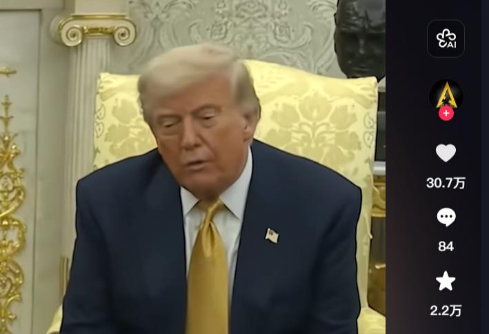 AI视频项目介绍与平台注册要点-赚钱金点子