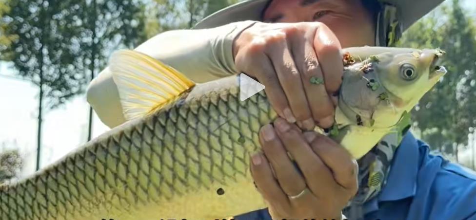 快手0.1元一百赞-快手双击在线购买-24小时自助下单平台