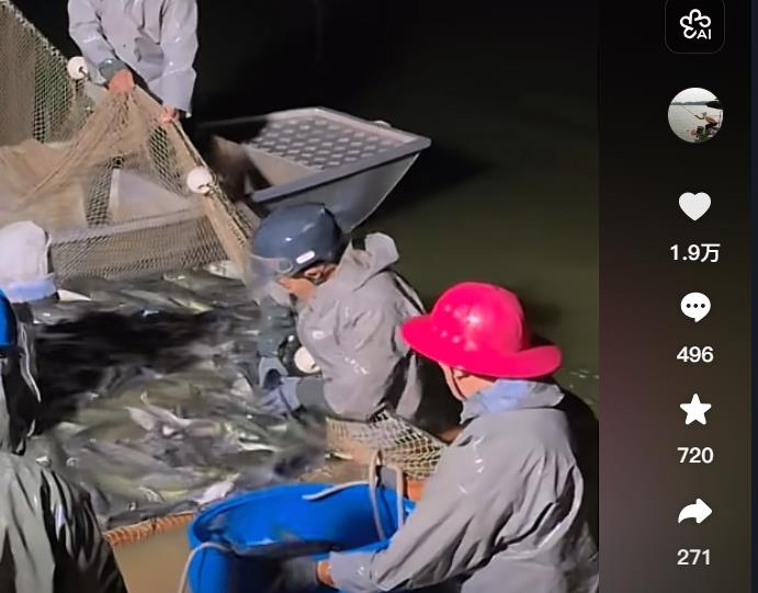 抖音流量密码揭秘:三天从0到1.5万粉,爆款内容背后的“作弊”真相