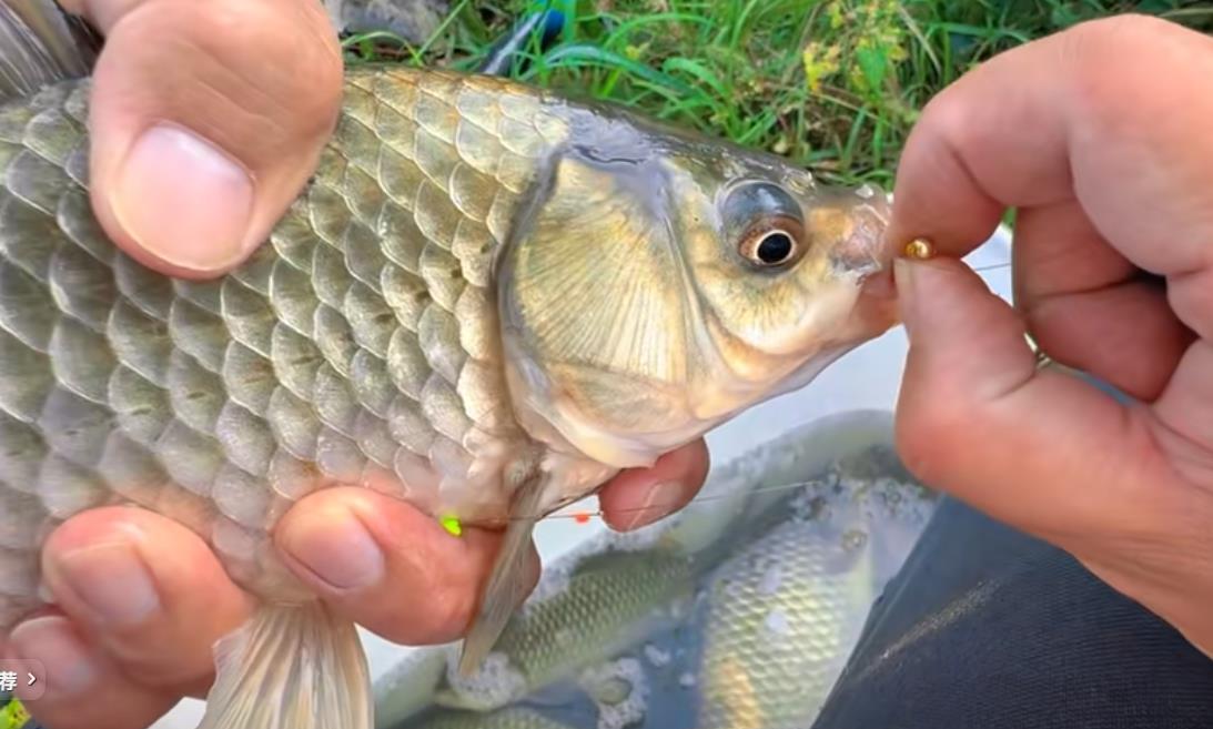 黑屏三分钟,四十年积蓄归零-骗局揭秘