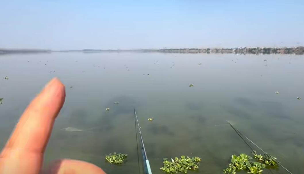 快手双击点赞网站(快手如何双击点赞)-涨粉网