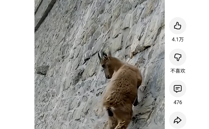 QQ20251130-215206.jpg QQ20251130-215206.jpg