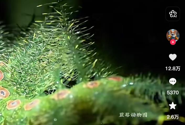 故意转错账的骗局内幕-十个人有九个会中招