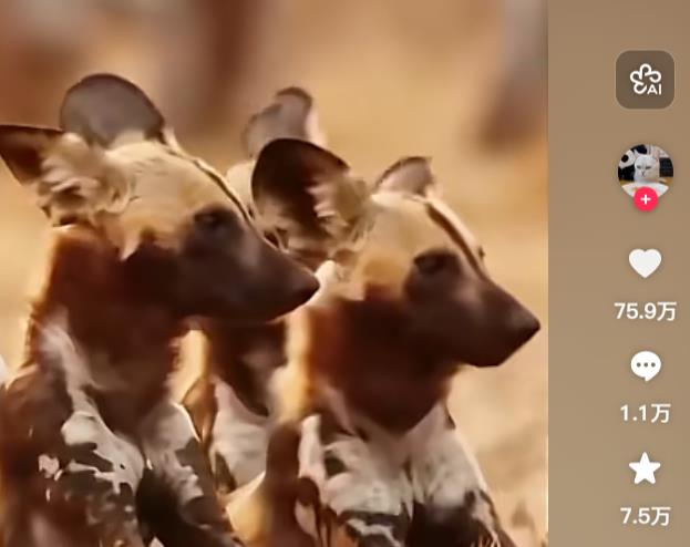 低成本高回报！快手挂铁选对平台很关键